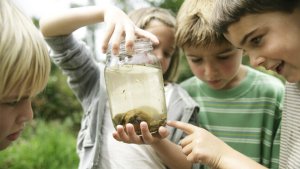 Kinderen met bokaal met kikkervisjes