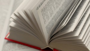 woordenboek