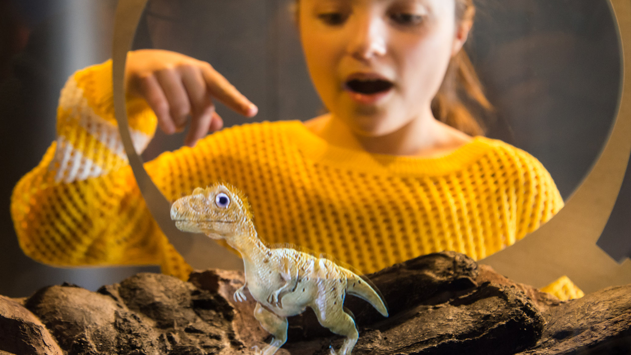 Kind wijst naar een kleine dinosaurus in het Museum voor Natuurwetenschappen