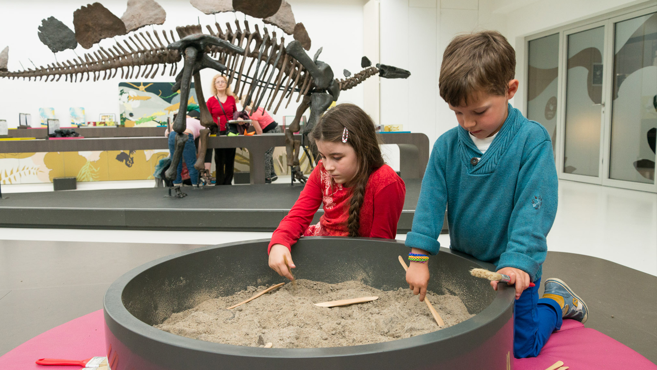 Kinderen doen opgravingen in het Museum voor Natuurwetenschappen