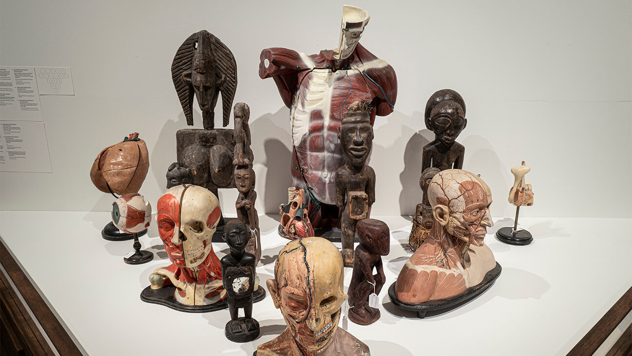 Foto uit de expo ''Erwin Mortier' in Museum Guislain