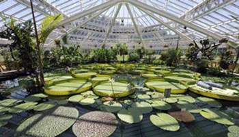 Plantentuin Meise