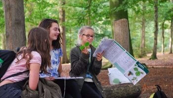 kinderen in het bos