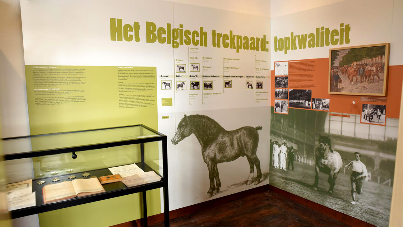 Paneel over het Belgisch trekpaard