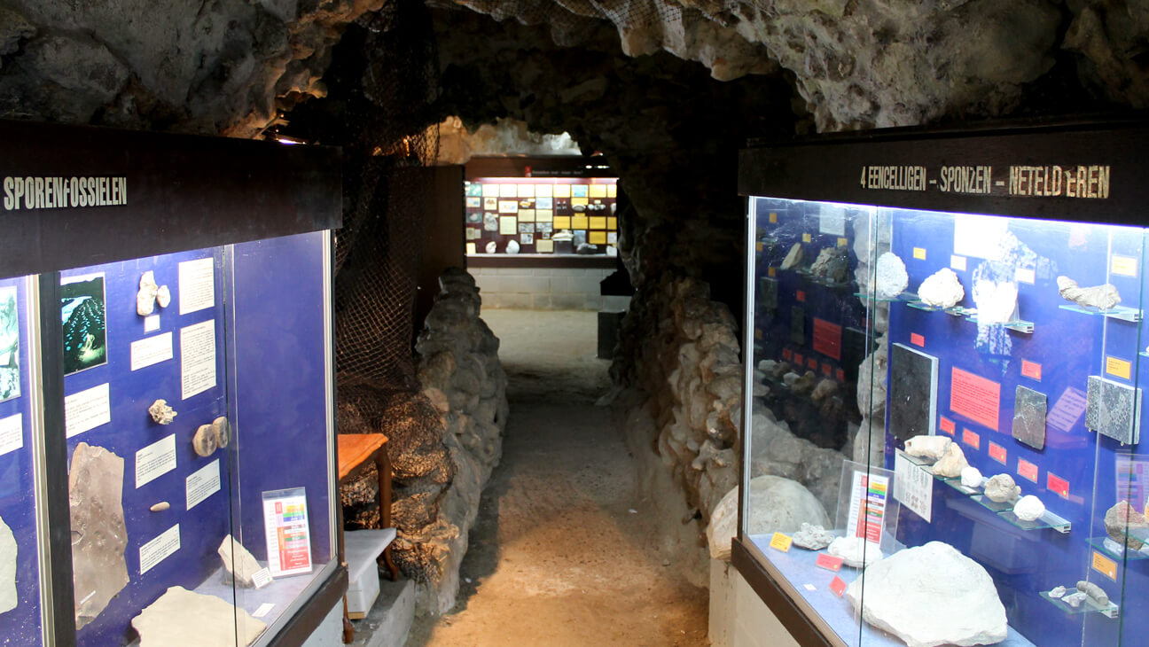 Stenen en mineralen in Natuurhistorisch Museum Boekenberg