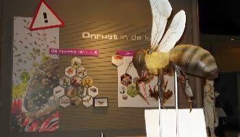 Standbeeeld van reuzenbij