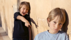 jongen pest andere jongen