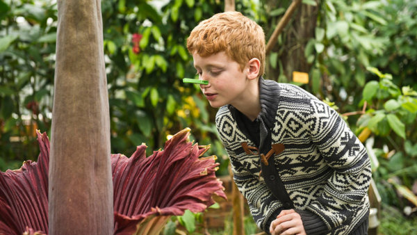 Jongen ruikt aan plant met wasknijper op zijn neus