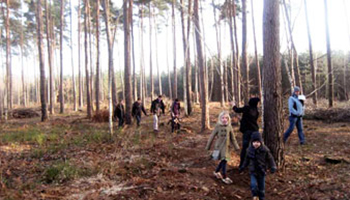 kinderen stappen door bos op klompen