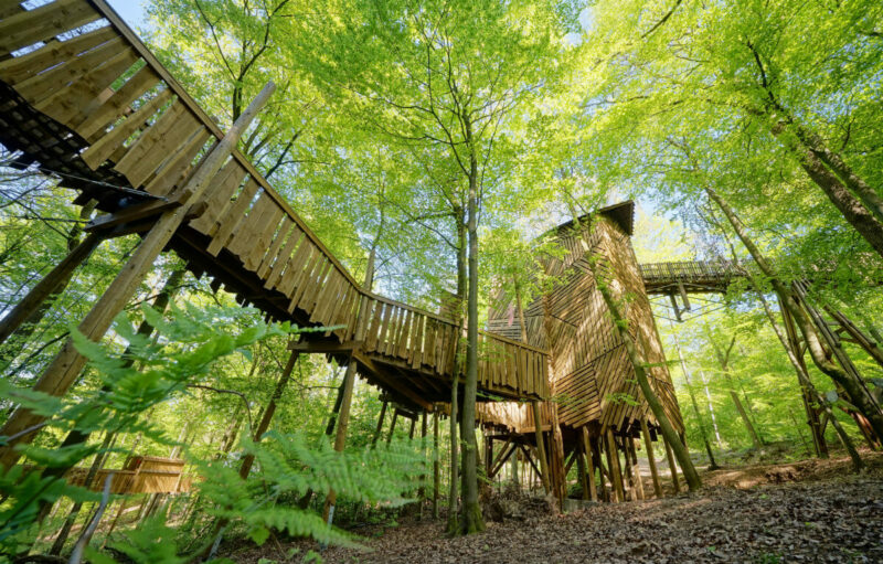 houten loopbrug tussen de bomen
