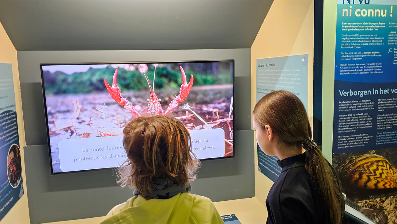 Kinderen kijken naar een scherm in Riveo