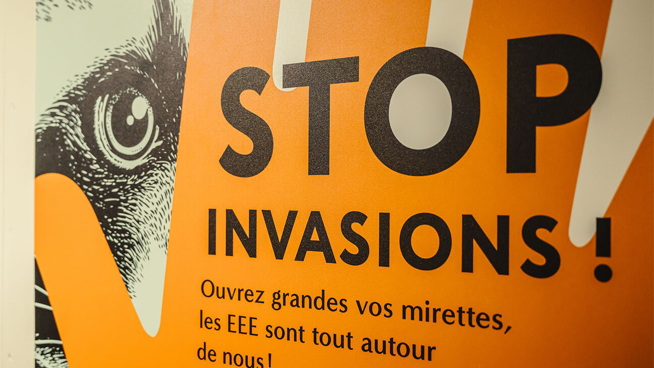 Bord 'stop invasions' in Riveo