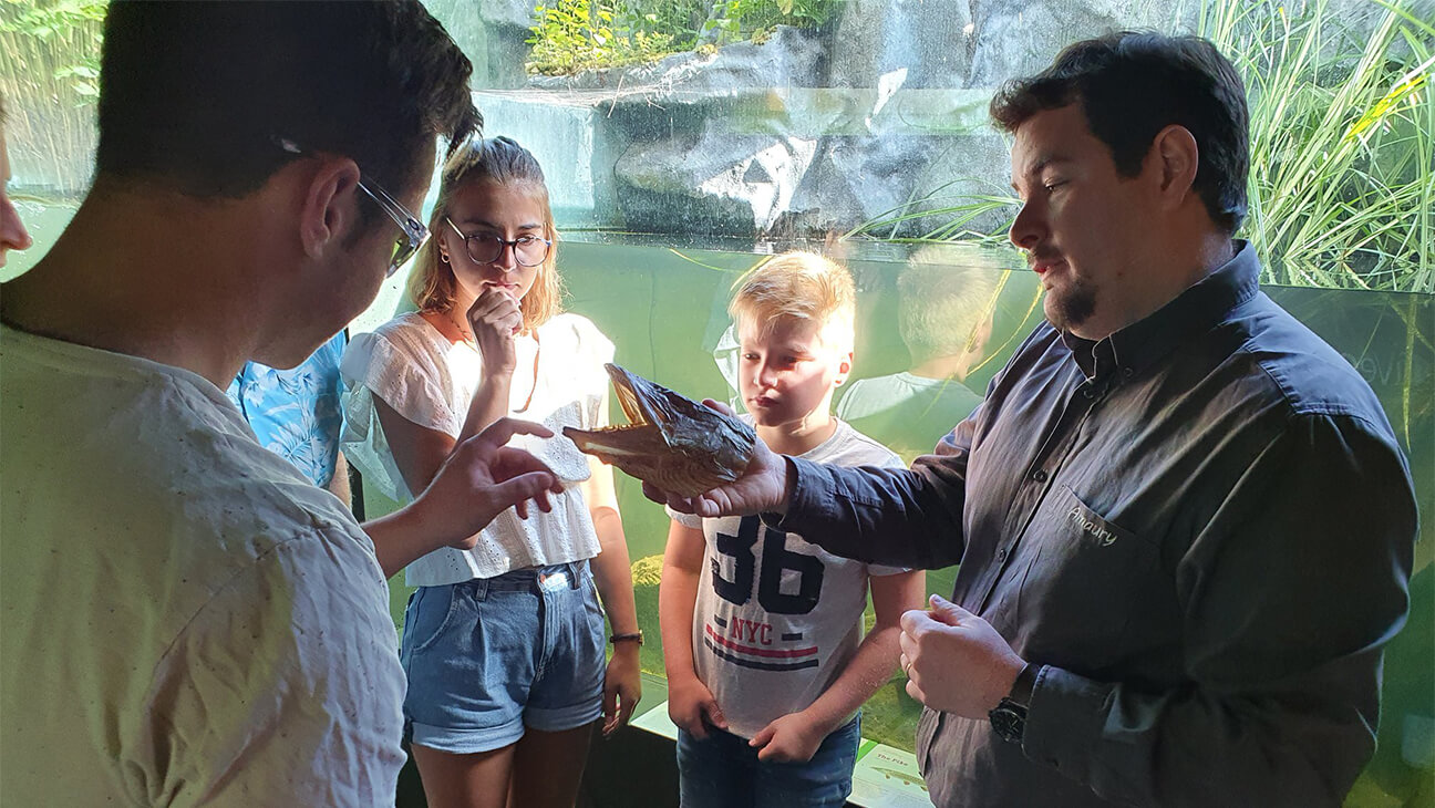 Kinderen kijken naar vissen in Riveo