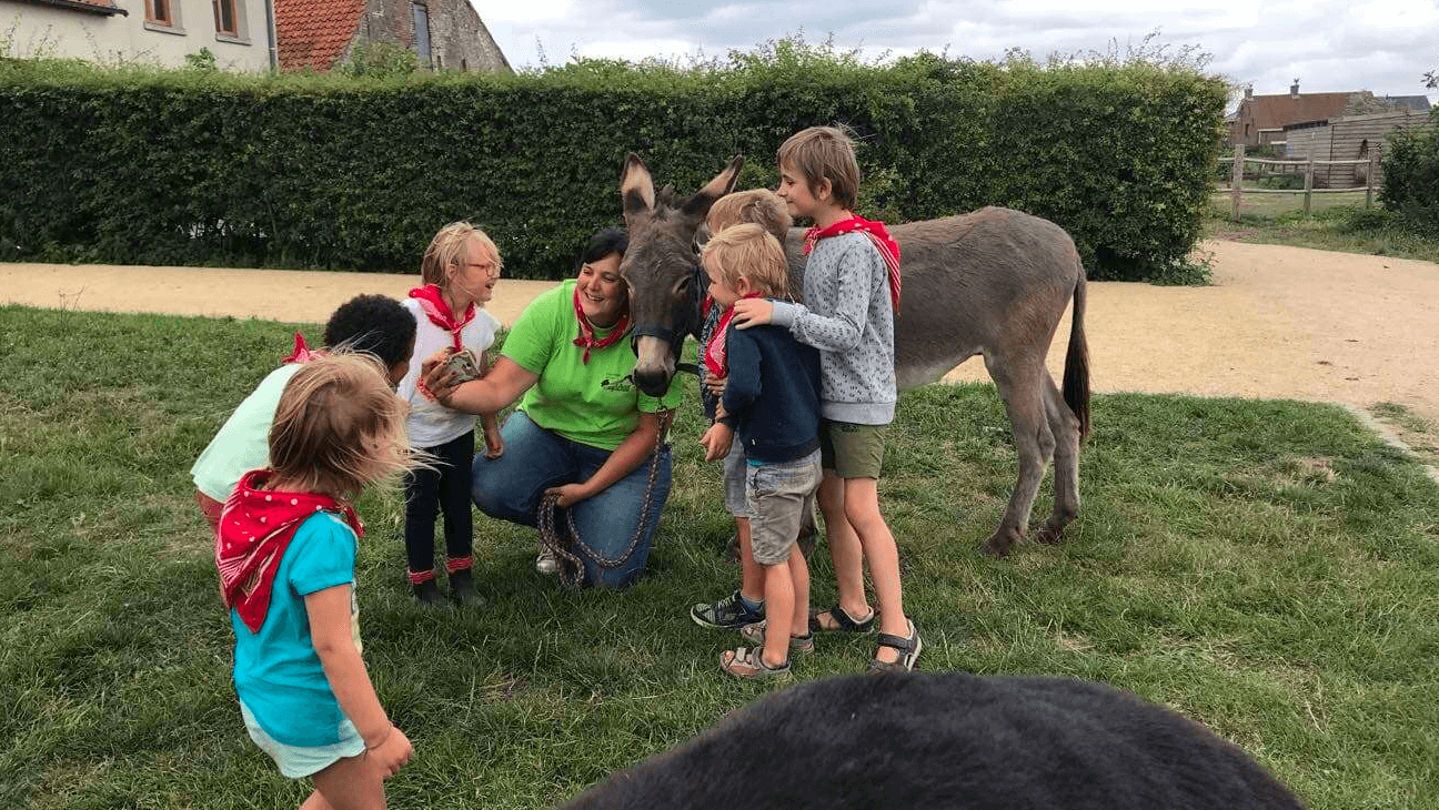 Kinderen bij een ezel in Kinderboerderij De Lange Schuur
