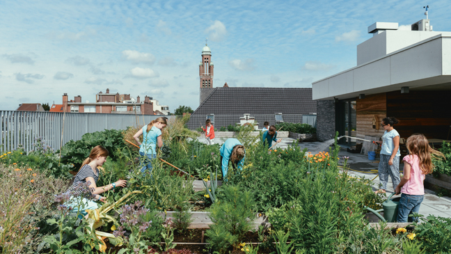 Kinderen werken in de daktuin