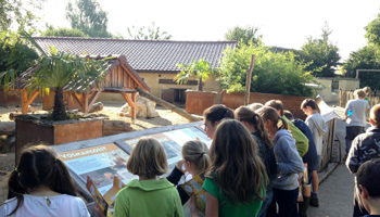 Groep kinderen kijken op panelen met info in het dierenpark