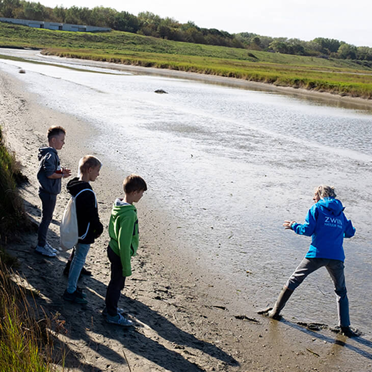 Leerlingen staan met hun voeten in het slib tijdens hun klasbezoek aan het Zwin Natuur Park