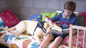 leesplezier met voorleeshond spencer in de klas
