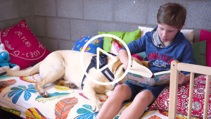 leesplezier met voorleeshond spencer in de klas