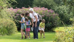 Lerarenkaart zomer tips: op zoektocht in het arboretum van Kalmthout