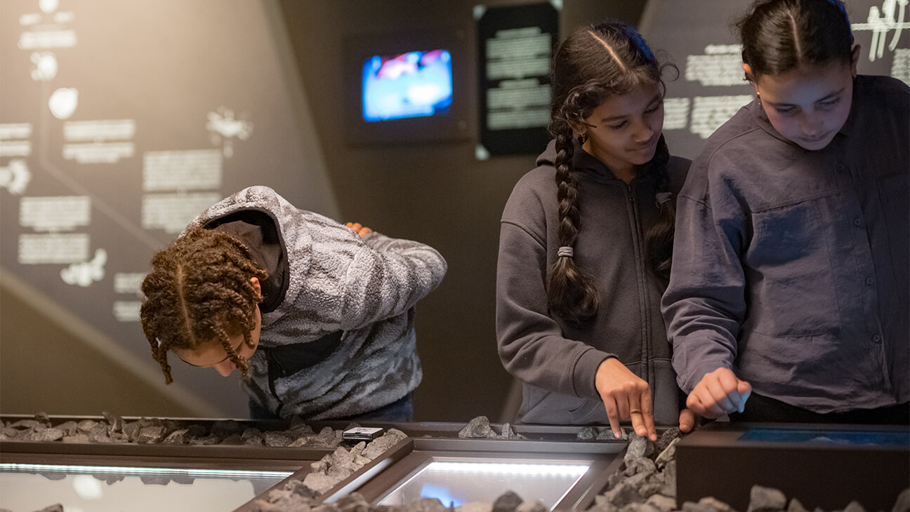 Klas kijkt naar een tentoonstelling in DIVA museum