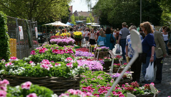tuinliefhebbers bezoeken de plantenbeurs