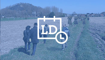 wandelgroep tijdens de Van Gogh-wandeling