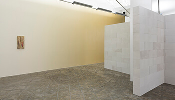 beeld uit de expo 'Pieter Vermeersch'