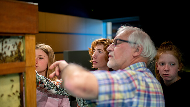 Gids Ludo in het bijenteeltmuseum met jongeren van het tweede jaar secundair