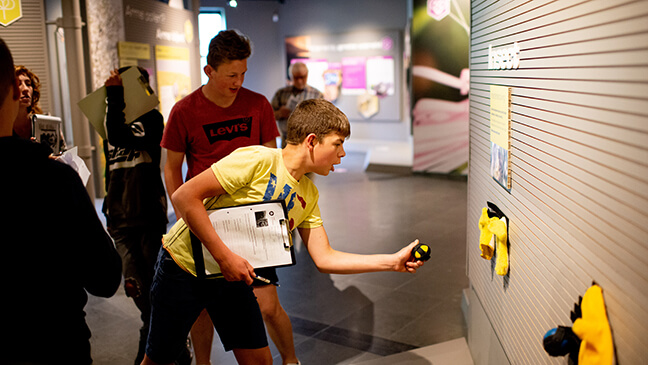 jongeren van het tweede jaar secundair in het bijenteeltmuseum