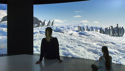 kinderen kijken naar film over Antarctica
