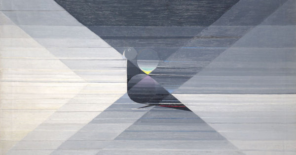 abstracte zwart-wit weergave van een duif