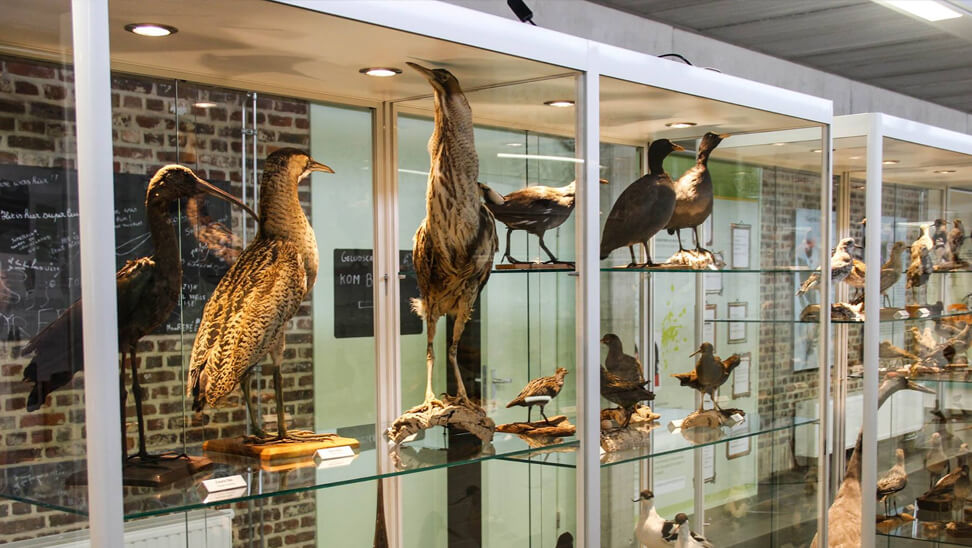 bosmuseum foto uit het bosmuseum