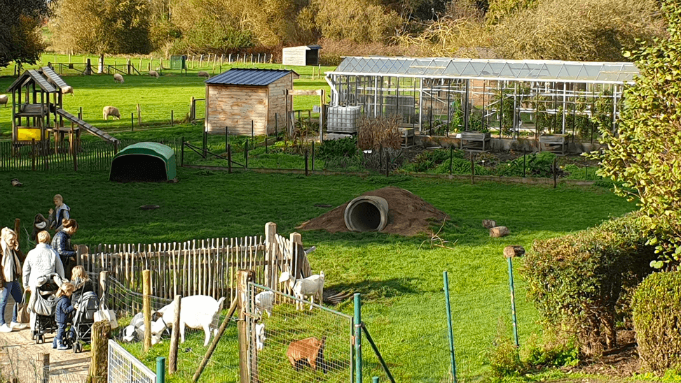 kinderboerderij