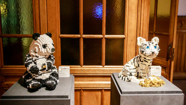 Expo LEGO Bricks in the city