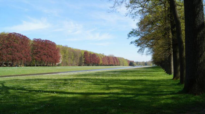 park Africamuseum Tervuren – © africamuseum.be Park aan het Africamuseum