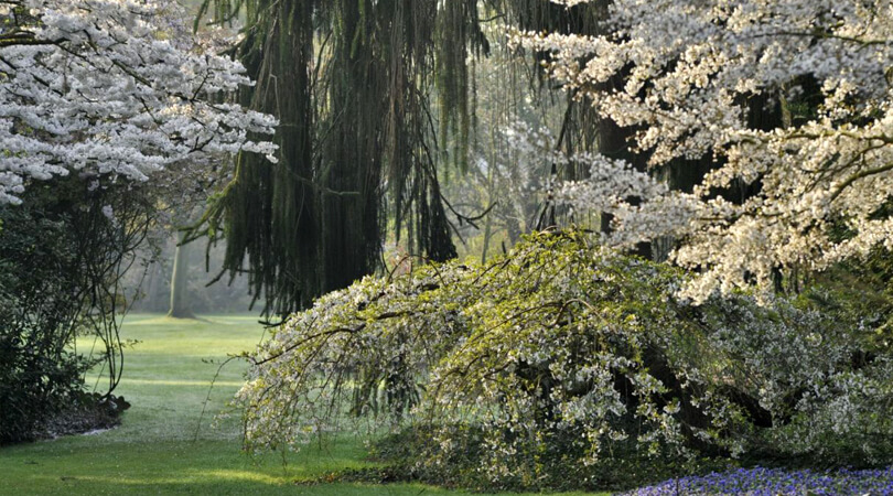 Arboretum Kalmthout – © arboretumkalmthout.be Bomentuin Arboretum Kalmthout