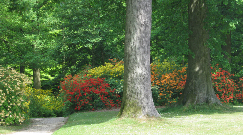 Domein Solvay – © chateaudelahulpe.be Domein Solvay