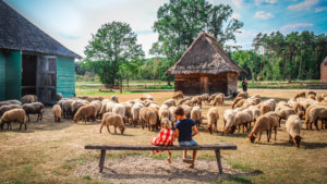 2 kindjes op een bank tussen de schapenin bokrijk