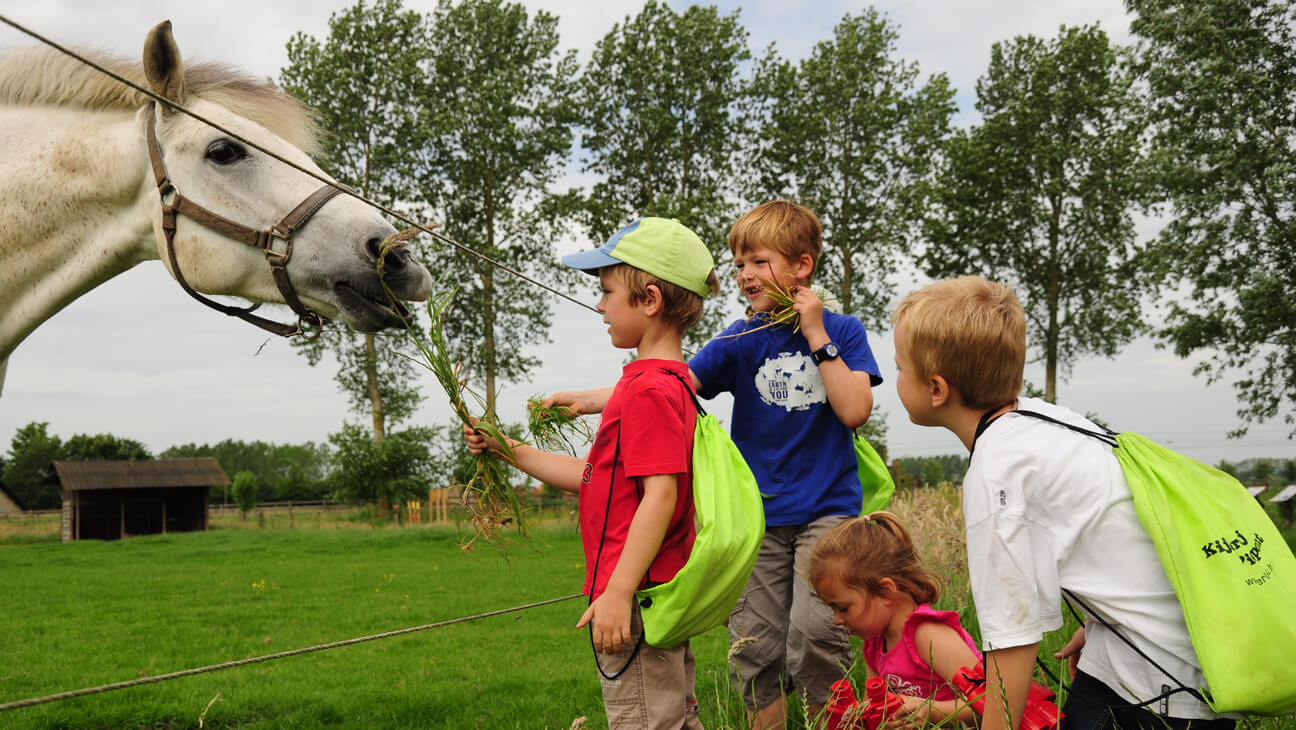 Kinderen geven paard eten Kijkboerderij De Pierlapont