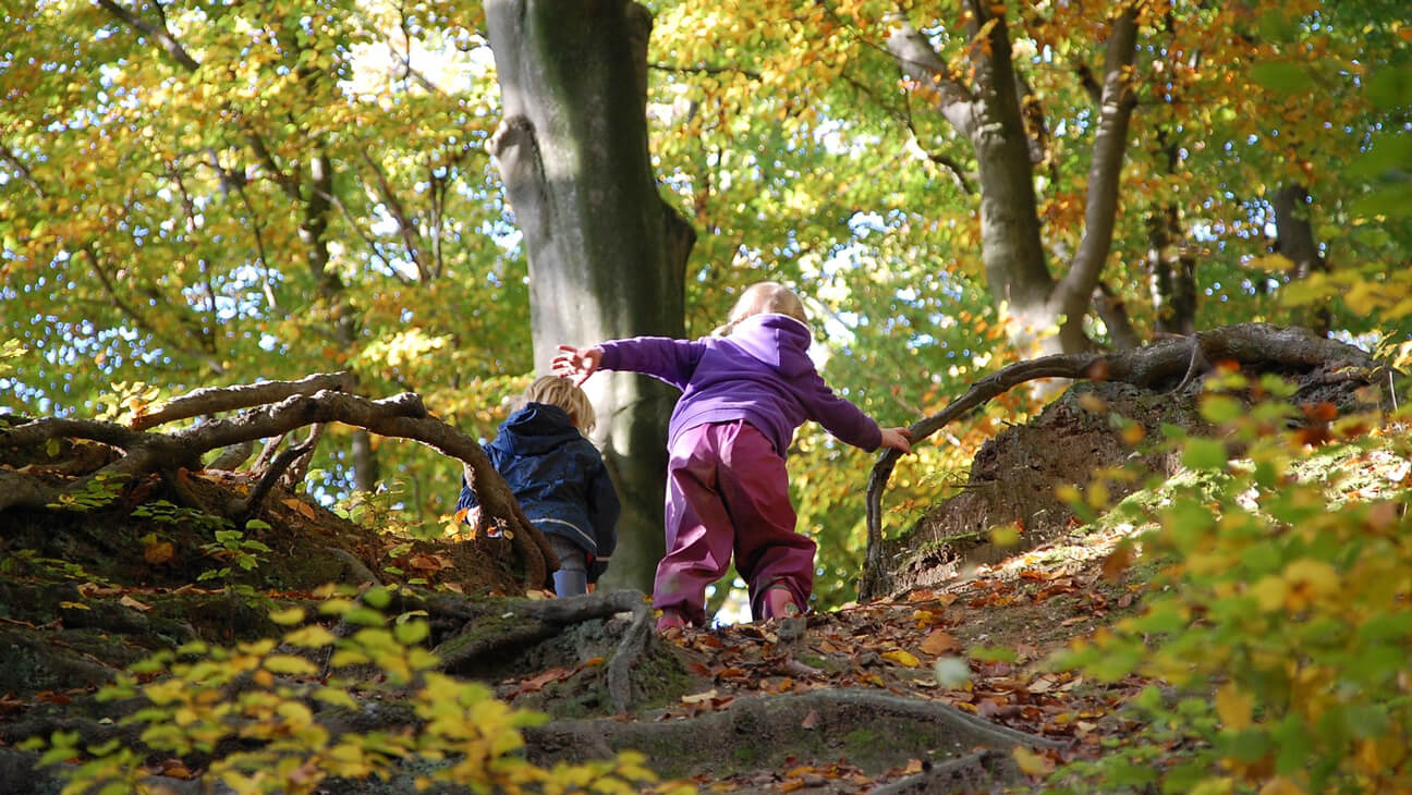 Kinderen in de herfst aan het spelen in het bos