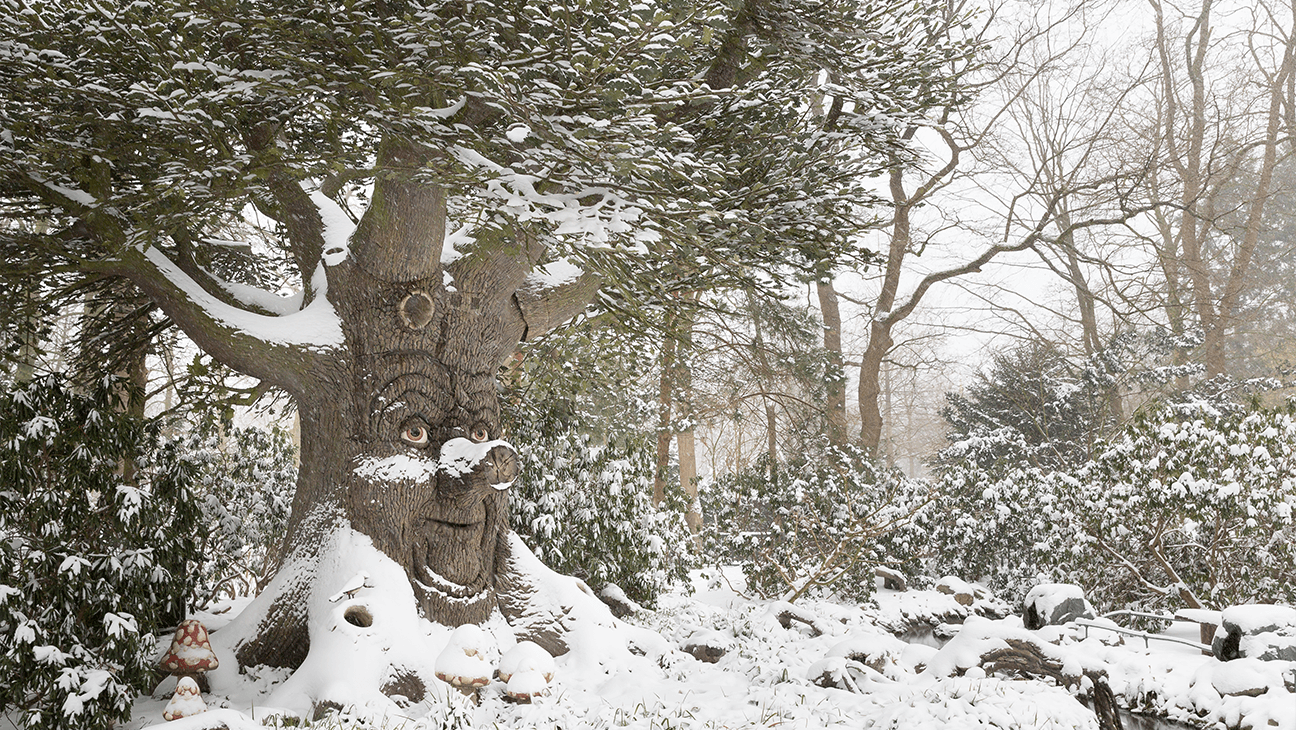Sprookjesboom in de sneeuw tijdens Winter Efteling