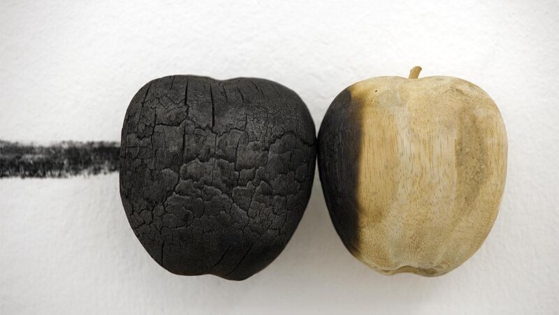 Contamination (pommes) 2006 / bois, bois brûlé