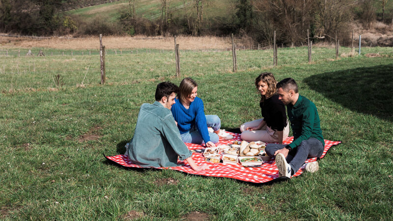 Mensen aan het picknicken op gras