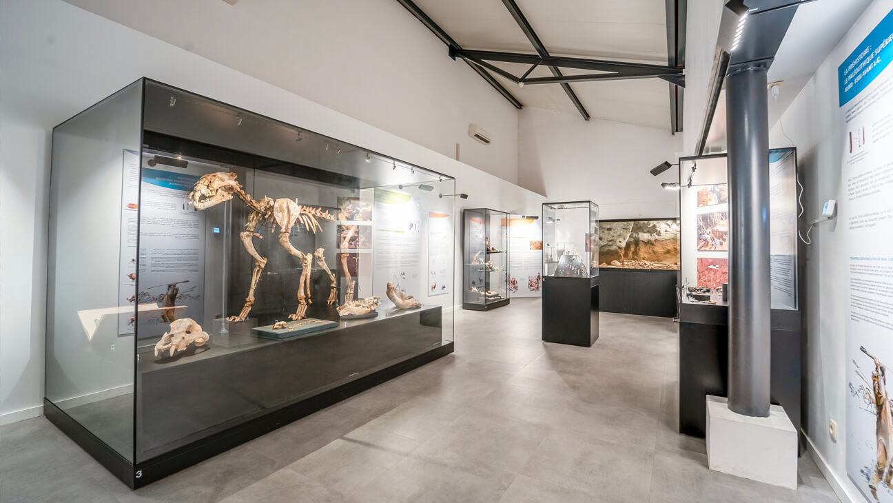 Zaal met dinosaurus in het Musée du Malgré-Tout