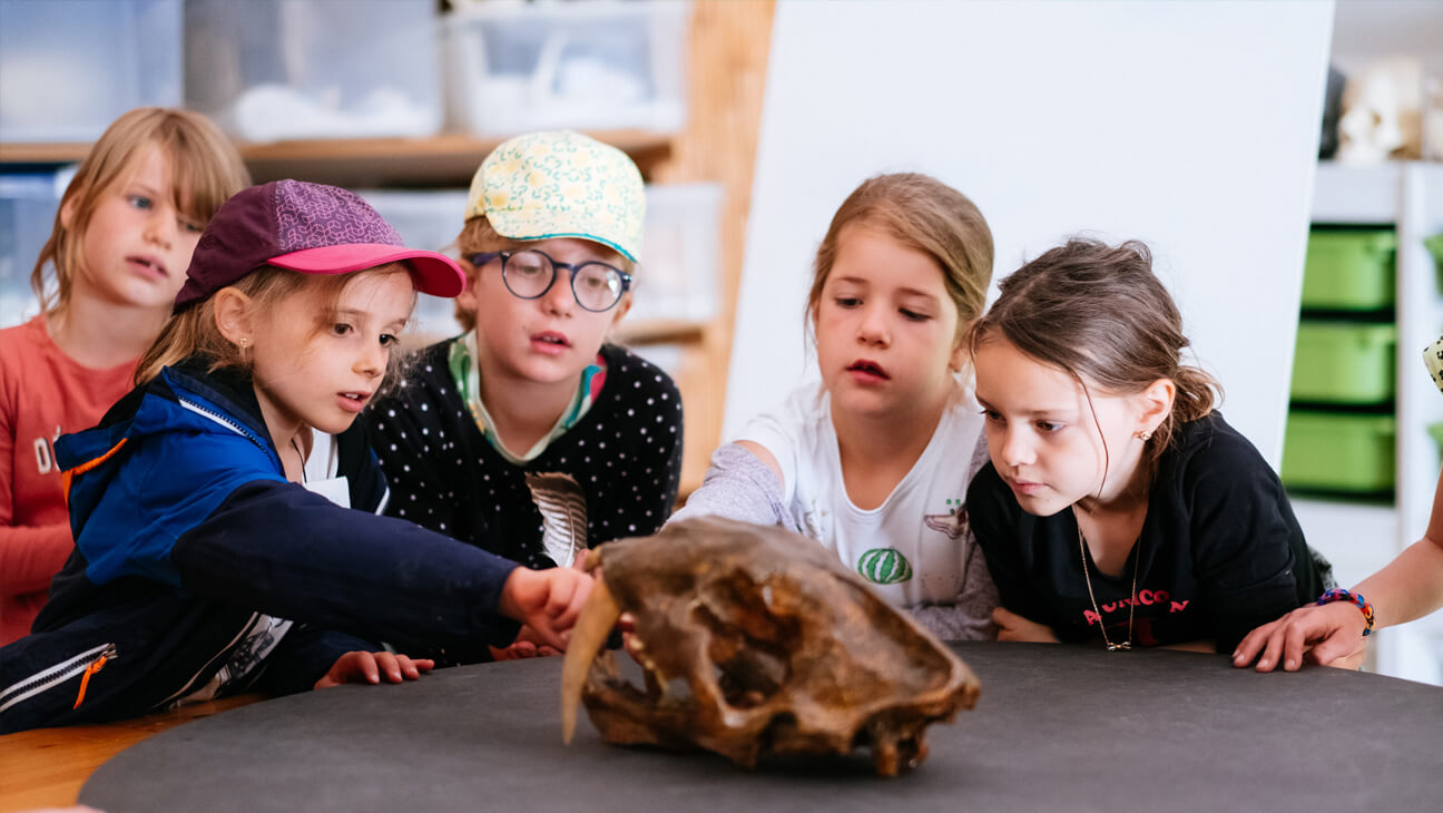 Kinderen kijken naar oude schedel