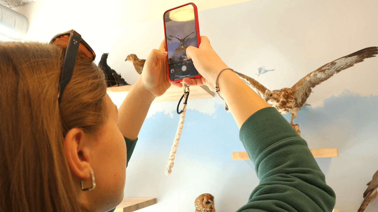 Vrouw fotografeert een opgezette vogel in De Vroente, Duurzaam Educatiepunt