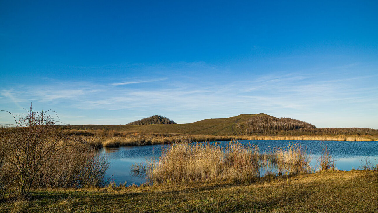 Landschap rond Thor park