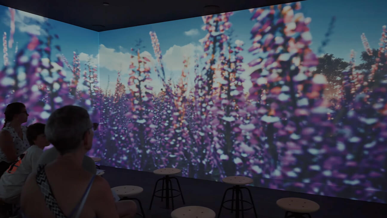 Video met planten uit Thor Experience