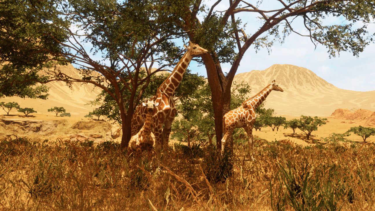 Giraffen ni de natuur 